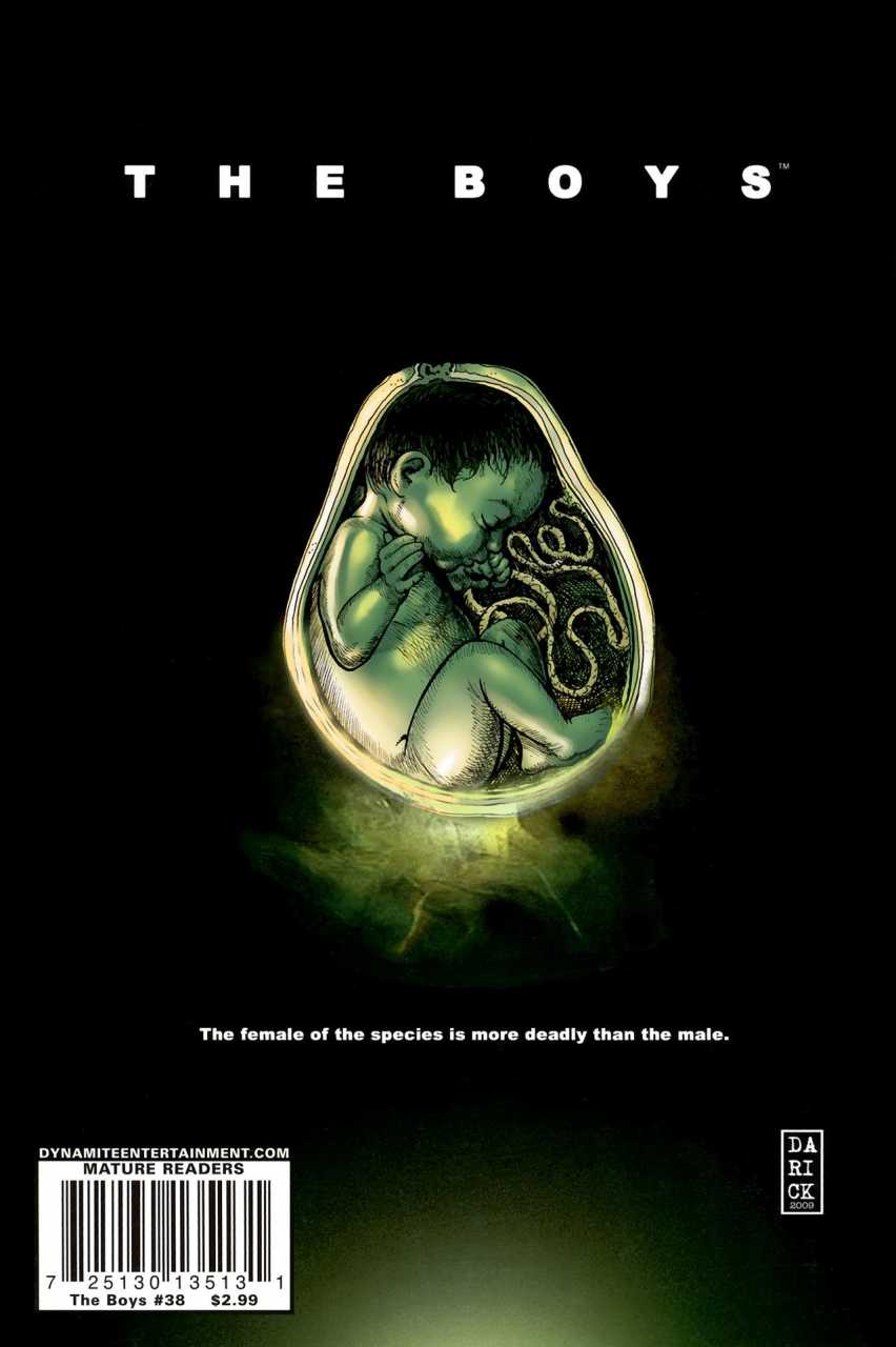 The Boys #38 (2010)